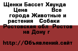 Щенки Бассет Хаунда  › Цена ­ 25 000 - Все города Животные и растения » Собаки   . Ростовская обл.,Ростов-на-Дону г.